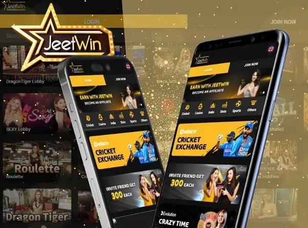 JeeTwinযদি আমার সমস্যা হয়, আমি কি করব?